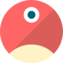 Logo pNetwork