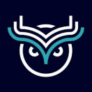 Logo Wise