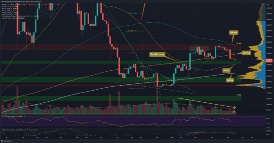 Týdenní graf bitcoinu