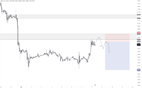 Očekávání od BTC na 1h grafu