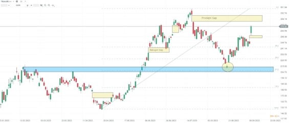 Denní akciový graf společnosti Tesla