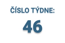 Číslo týdne