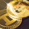 Dogecoin bude mít své první ETF! Jakým způsobem REX Shares předběhl ostatní?