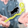 Vstupujeme do druhé fáze kryptoměnového bull runu. Kde bude jeho vrchol?