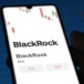Podle experta toto bude novodobý BlackRock! Sází na mladou generaci