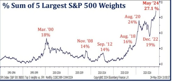 Váha pěti největších titulů v rámci indexu S&P 500