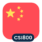 Logo China Securities 800