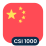 Logo CSI 1000