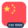 Logo CSI 1000