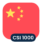 Logo CSI 1000