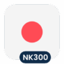 Logo Nikkei 300