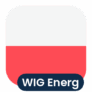 Logo WIG Energy