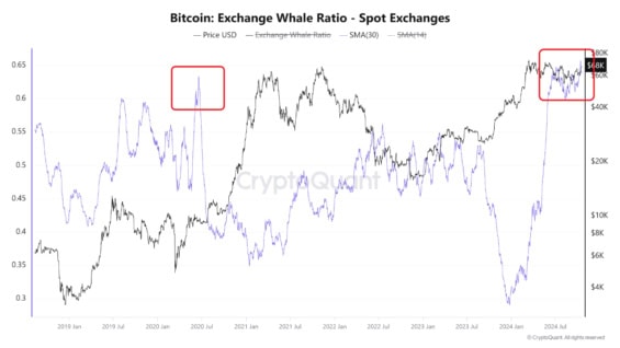 Exchange Whale Ratio je na maximech