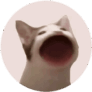 Popcat logo