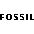Logo Fossil Group