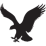 Logo American Eagle Outfitters
