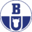 Logo Boryszew