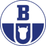 Logo Boryszew