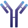 Logo Immunovant