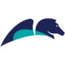 Logo Pegasystems