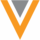 Logo VEEV