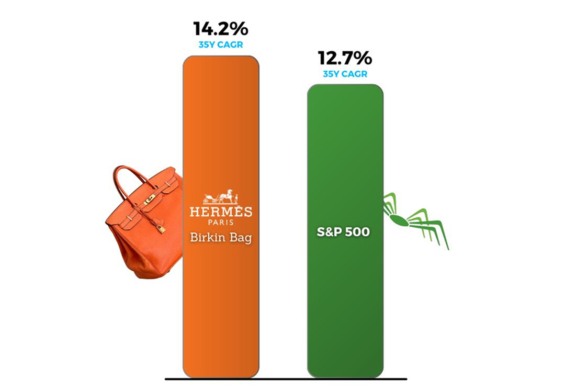 Průměrná anualizovaná návratnost investice do Birkin Bag a indexu S&P 500 v letech 1980 až 2015