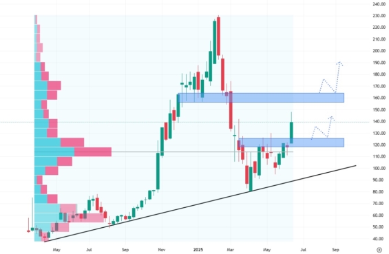 Týdenní akciový graf společnosti Reddit