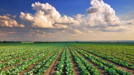 Bill Gates takto zhodnocuje peníze. Revoluční investice do nemovitostí