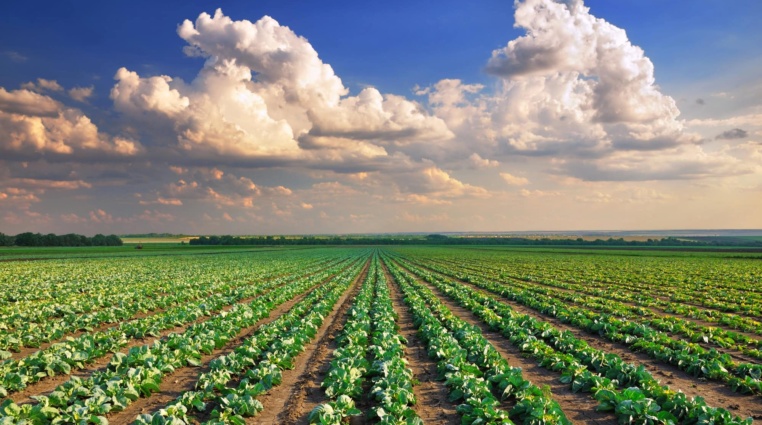 Bill Gates takto zhodnocuje peníze. Revoluční investice do nemovitostí