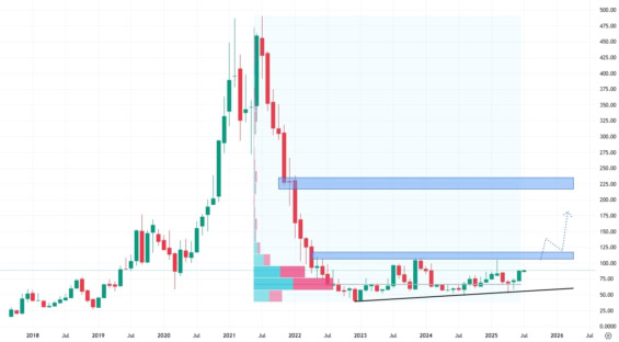 Měsíční akciový graf společnosti Roku
