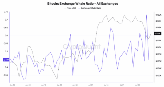 Exchange Whale Ratio je na maximech