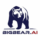 Logo BBAI