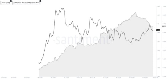 Prodeje XRP velrybami