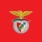 Logo Sport Lisboa e Benfica - Futebol