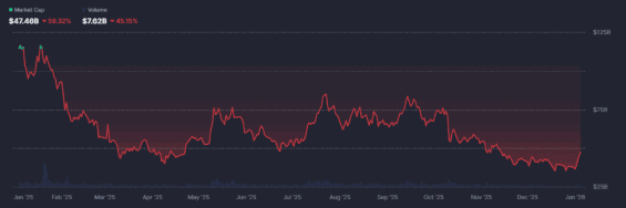 Vývoj tržní kapitalizace trhu s meme coiny