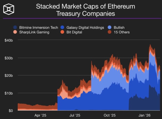 Společnosti, které drží Ether v rámci svých firemních rozvah