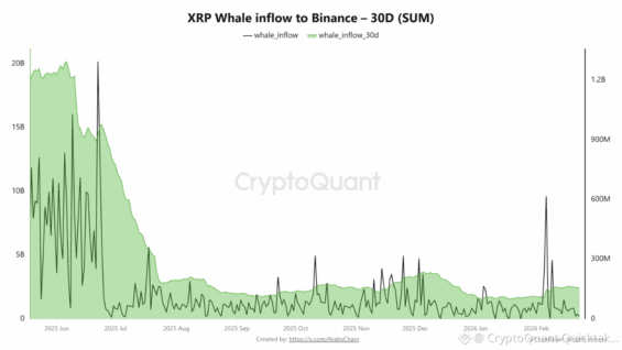 Whale Inflow graf sledující přílivy XRP na Binance