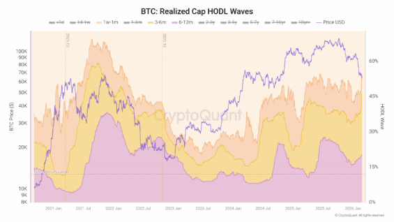 Vývoj struktury držby BTC podle stáří mincí ve vztahu k ceně