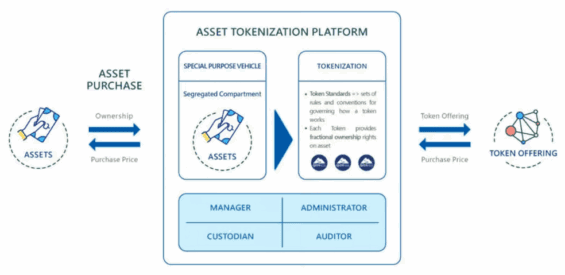 Reálná aktiva jsou nakoupena a použita jako zajištění jejich nově vzniklých tokenů.