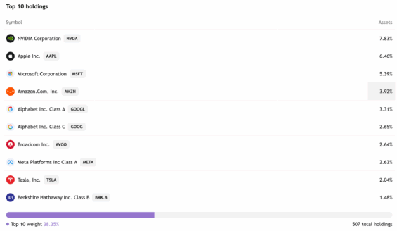 Top 10 aktiv podle tržní kapitalizace ve fondu Vanguard S&P 500 ETF