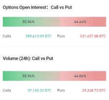 Poměr call a put opcí na Bitcoinu.