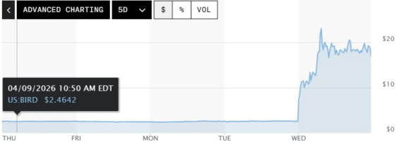 Extrémní růst akcií Allbirds