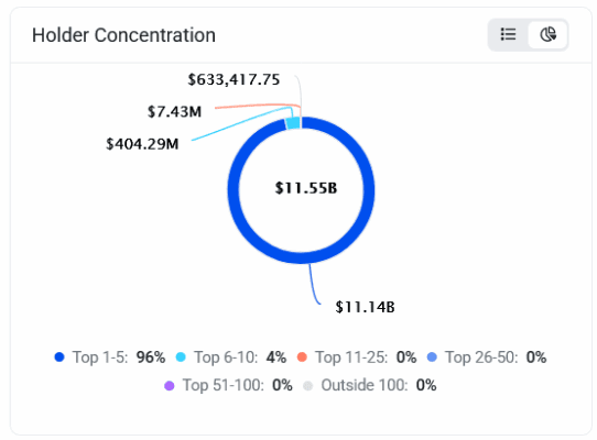 Koncentrace držitelů tokenu Rave v době psaní článku.