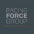 Logo Racing Force