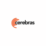 Logo Cerebras Systems