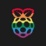 Logo Raspberry Pi Holdings