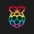 Logo Raspberry Pi Holdings