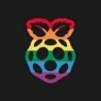 Logo Raspberry Pi Holdings