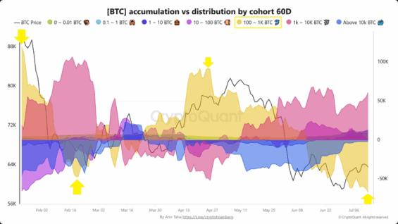 Distribuce Bitcoinu mezi jednotlivými držiteli.
