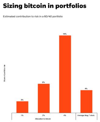 Už 2% podíl Bitcoinu může představovat 5 % celkového rizika portfolia.